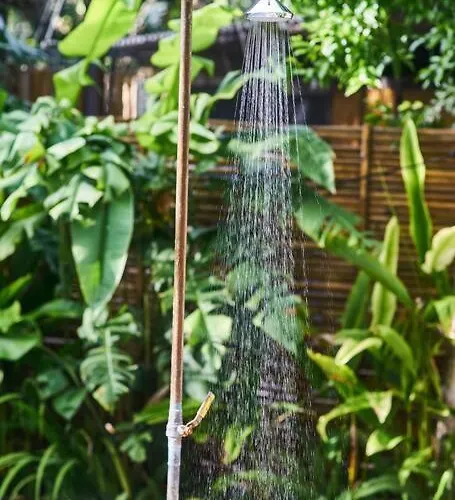 Zen Canto Tuuch :: The Jungle Be With