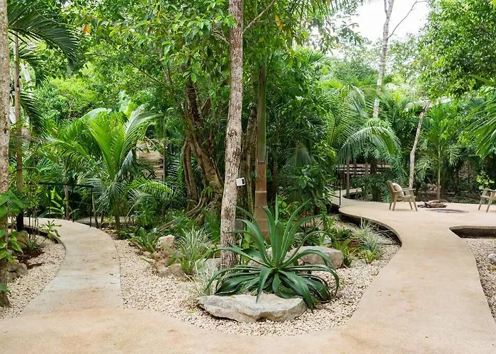 Zen Canto Tuuch :: The Jungle Be With Ferienhaus