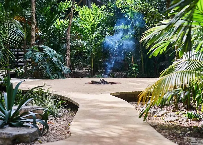 Zen Canto Tuuch :: The Jungle Be With *