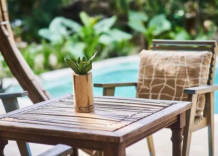 Zen Canto Tuuch :: The Jungle Be With Tulum