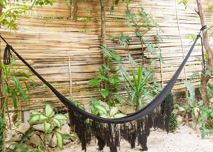 Zen Canto Tuuch :: The Jungle Be With Ferienhaus Tulum