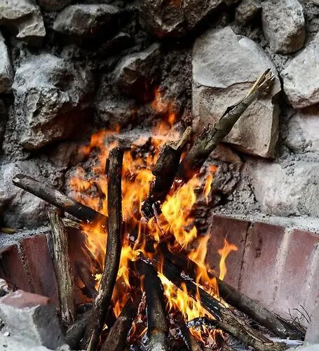 Ferienhaus Zen Canto Tuuch :: The Jungle Be With