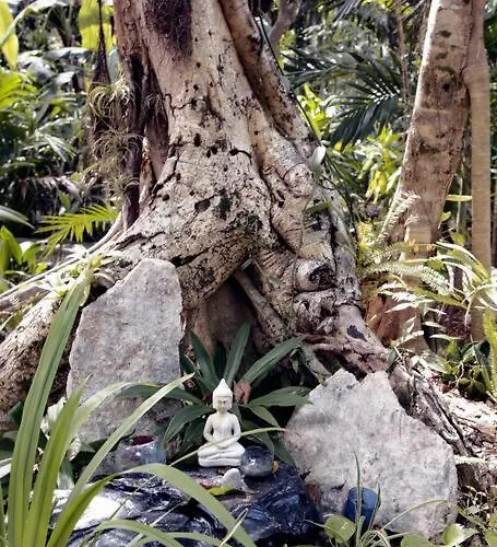 Zen Canto Tuuch :: The Jungle Be With Ferienhaus