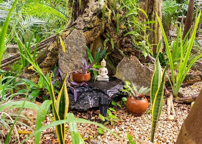 Zen Canto Tuuch :: The Jungle Be With *