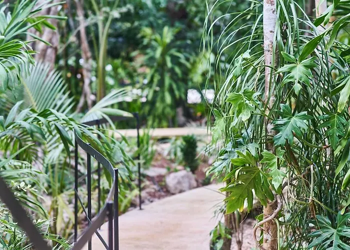Zen Canto Tuuch :: The Jungle Be With *